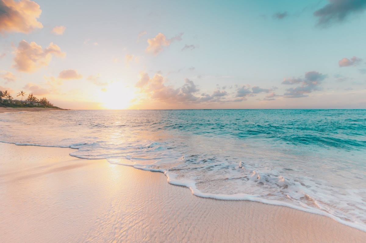 Beachfront coastal environment
