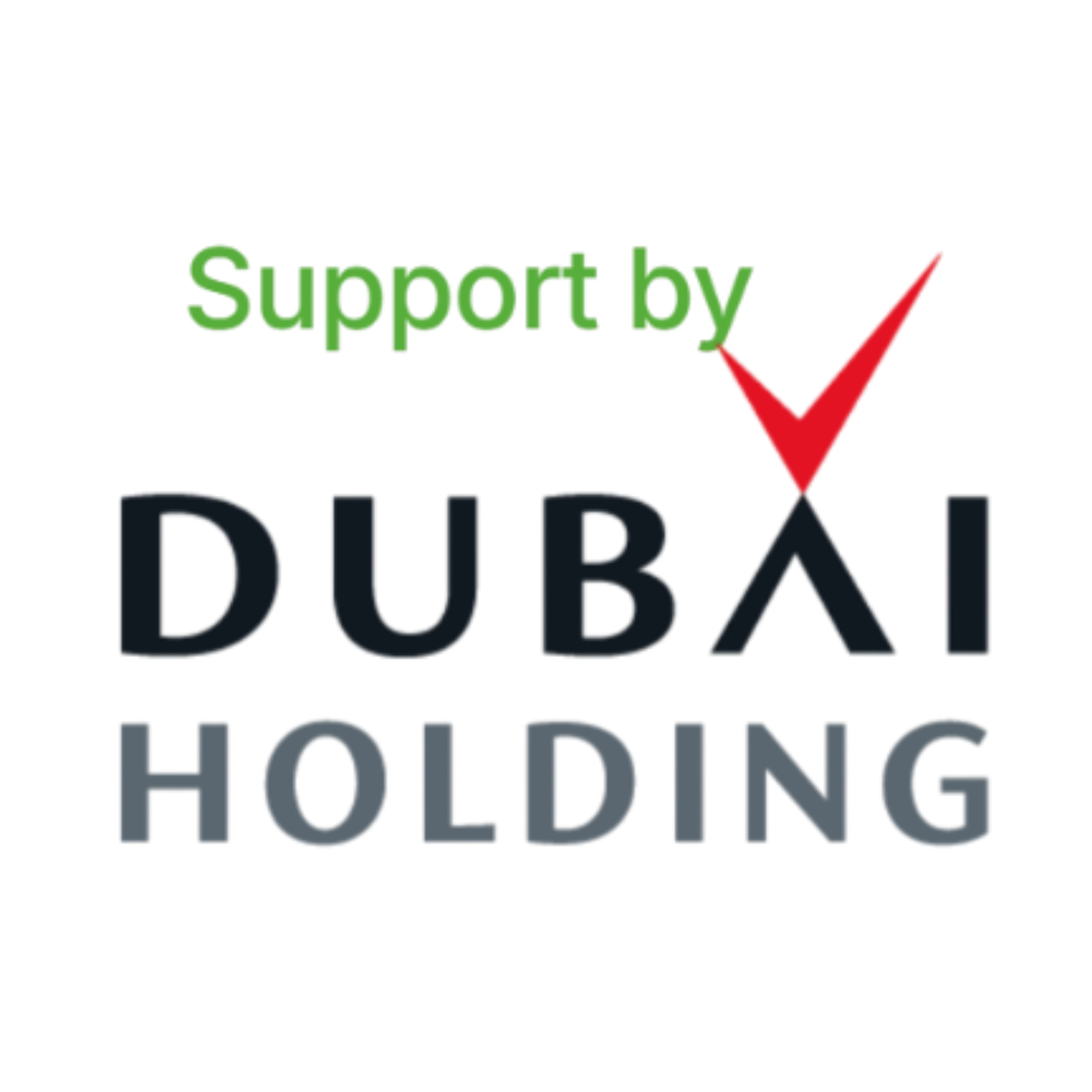Dubai Holding
